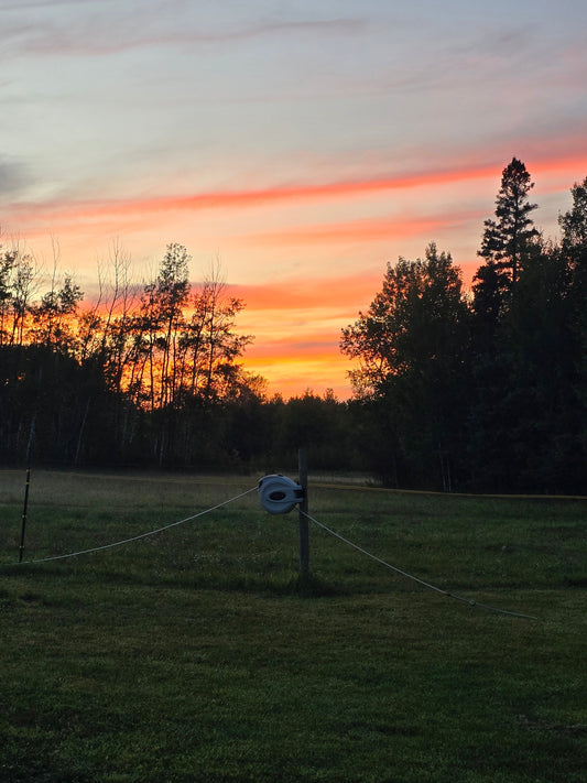 A Week of Firsts at Valhalla North Ranch